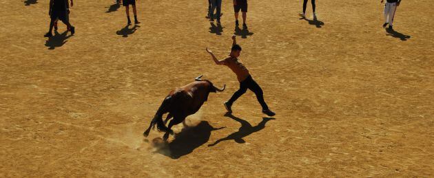 A pie de calle Madrid Oeste 13-09-2018 – Encierros y recortes en Móstoles