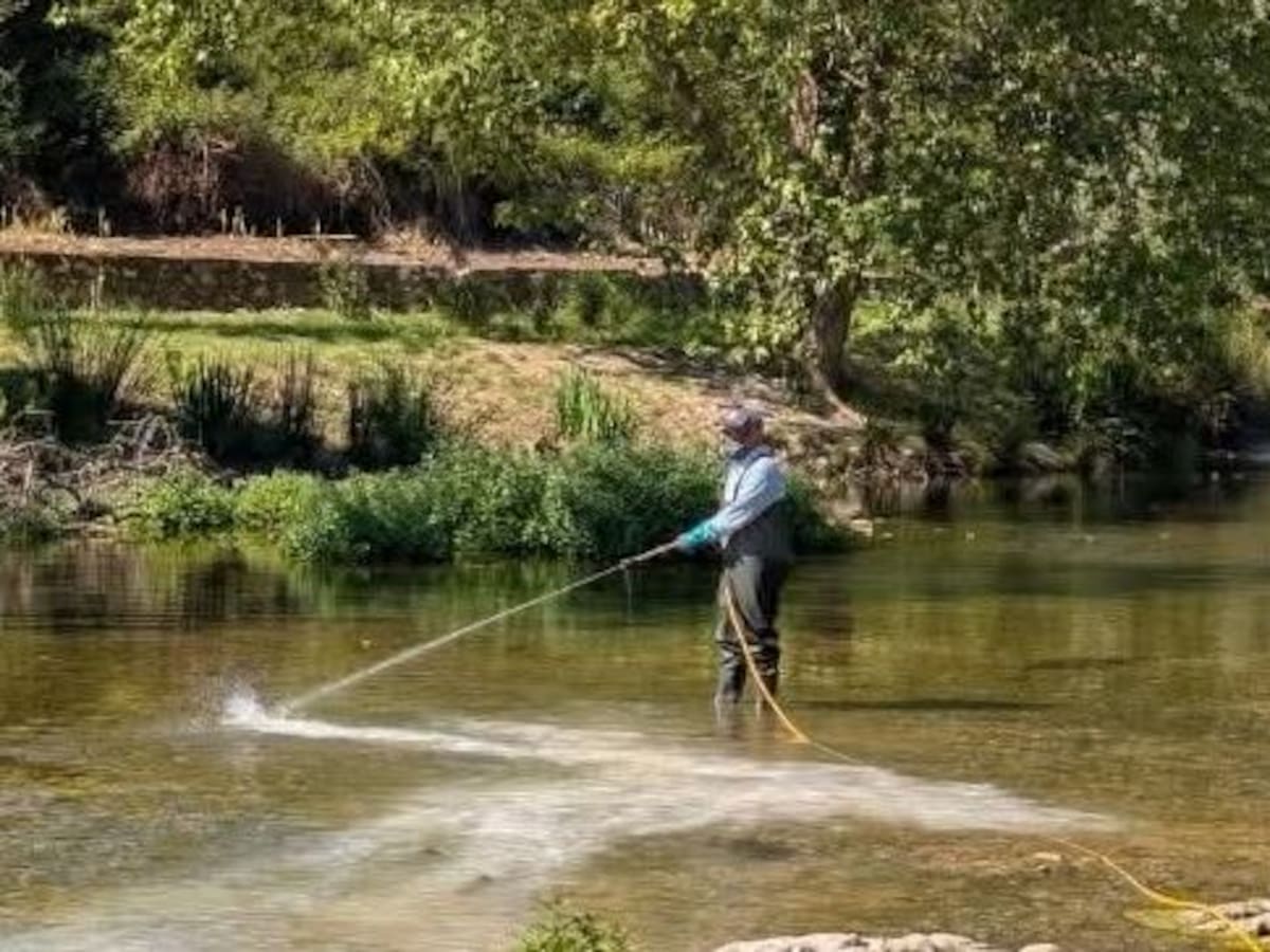 Tratamientos contra moscas y mosquitos inocuos para fauna y personas