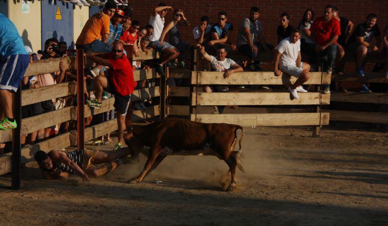 Correbous al Morell.