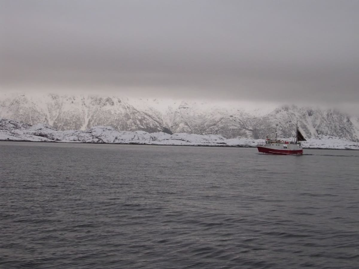 Los barcos regresan a puerto para descargar la pesca. Hora límite: 20:00  horas