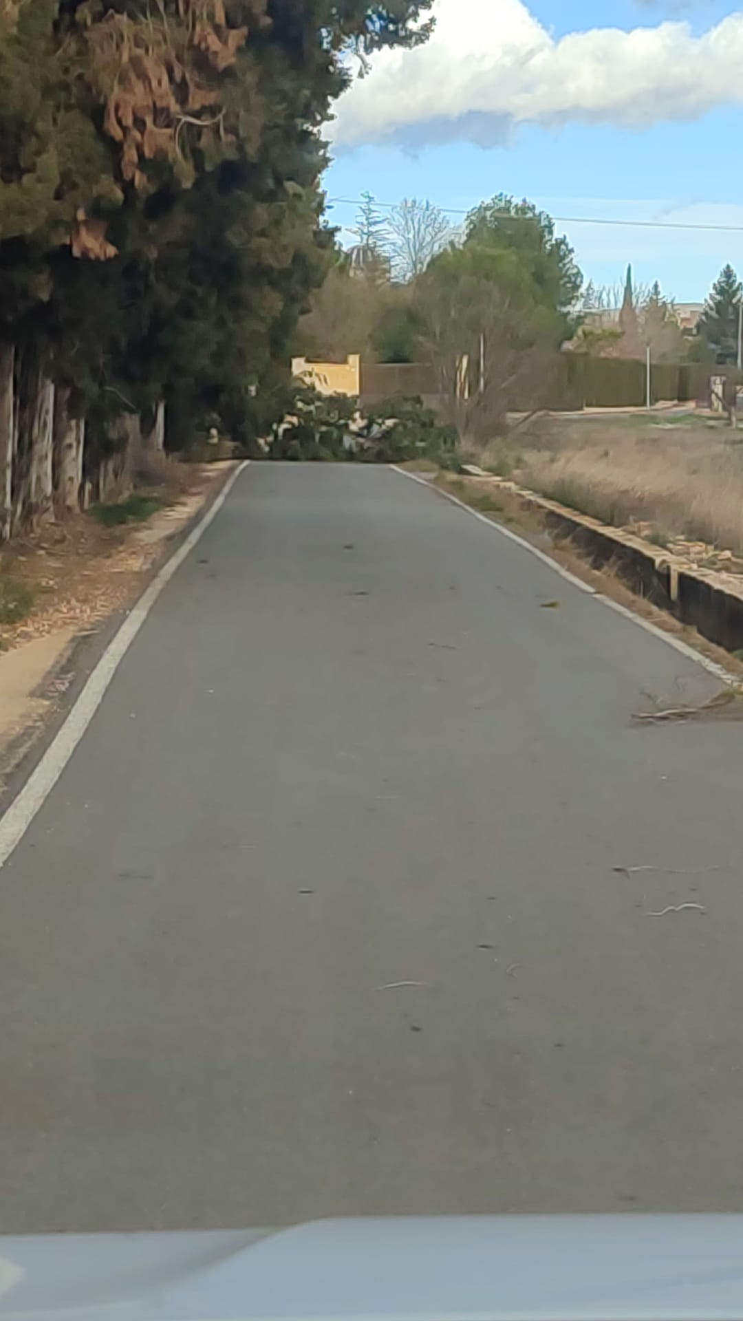 Daños por el viento en Beneixama