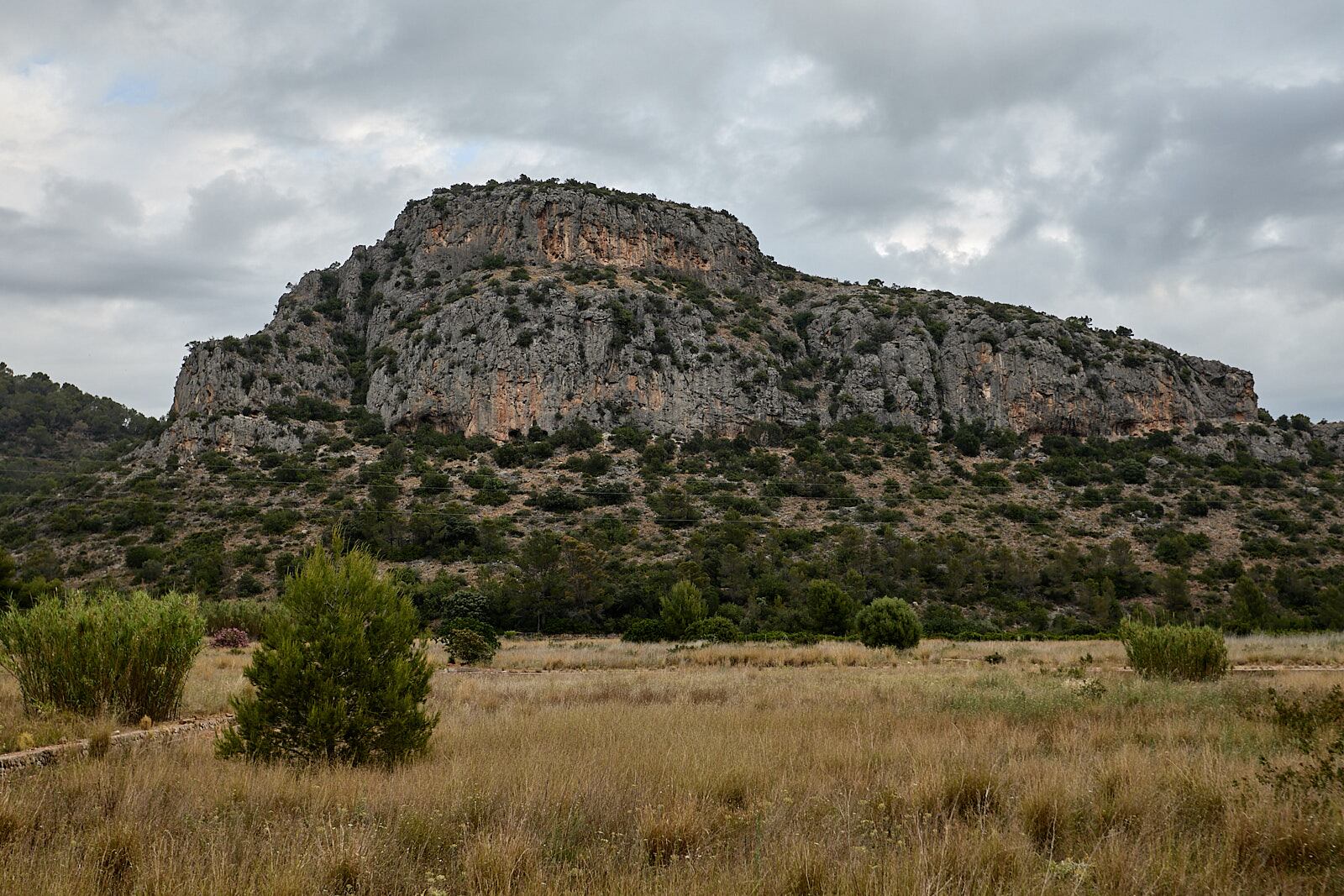 La Penya Roja de Gandia