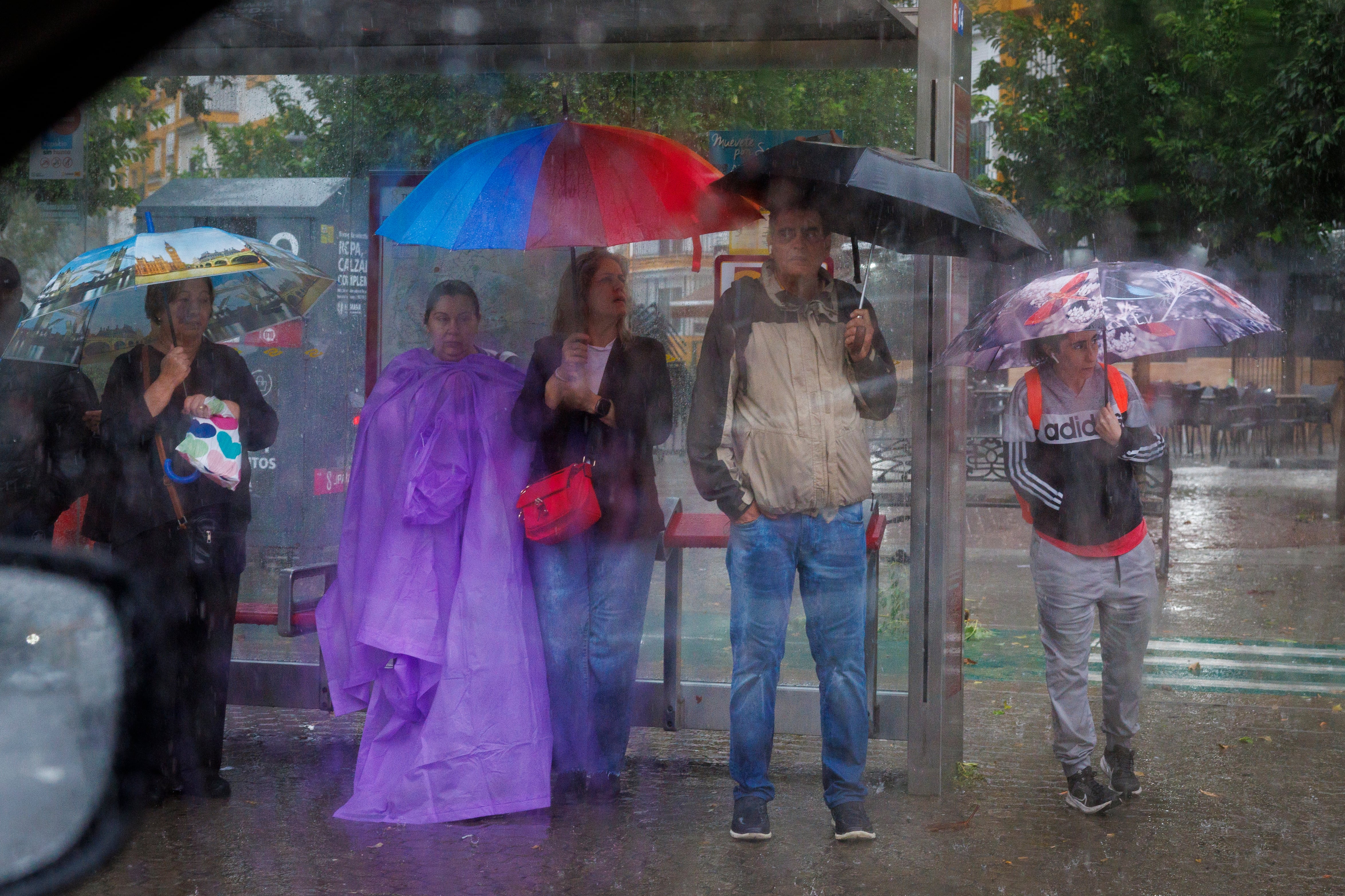 Varias personas se resguardan y esperan en la parada del autobús mientras cae una lluvia intensa en Sevilla capital. 