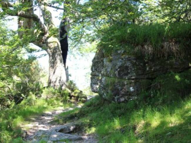 Tramo de la la ruta Jaya Cruzá.