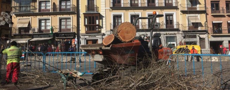 Polémica por la tala del arbolado de la Plaza de Zocodover de Toledo