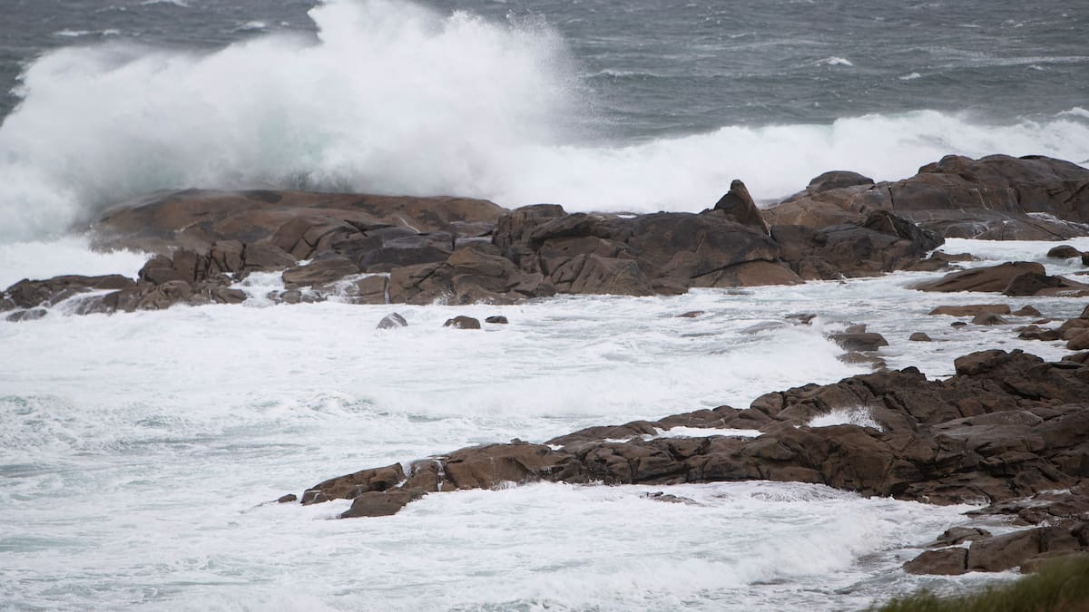 Conexiones suspendidas y cambios de frecuencia en el transporte de ría debido al temporal