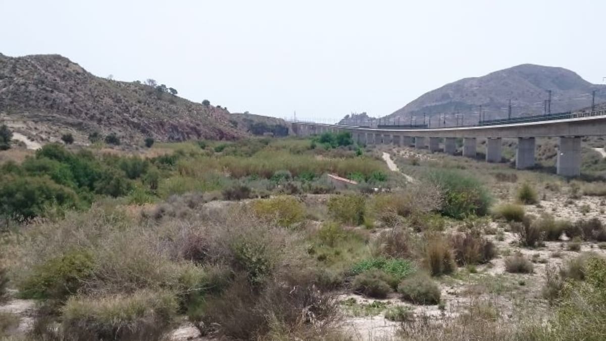 Monóvar organiza una ruta cultural y ambiental por el río Vinalopó