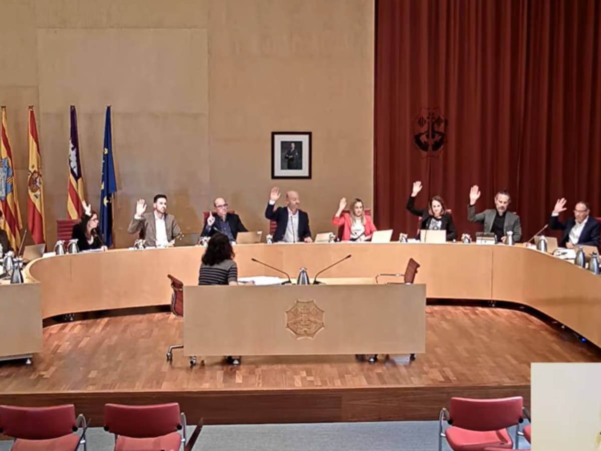 El Consell Insular aprova el pla anticrisi d'ajuts contra els efectes de la guerra