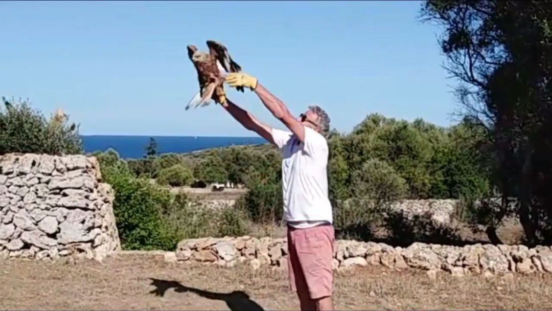 Moment en que es va retornar la llibertat al milà reial.