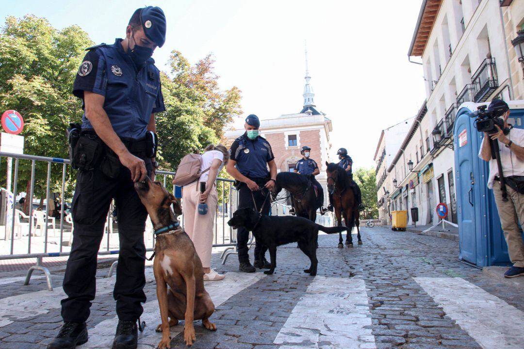 Varios agentes de policía acompañados de perros de la unidad de guías caninos durante una demostración para informar sobre el dispositivo de seguridad previsto para las fiestas de agosto en la capital, a 6 de agosto de 2021, en Madrid, 