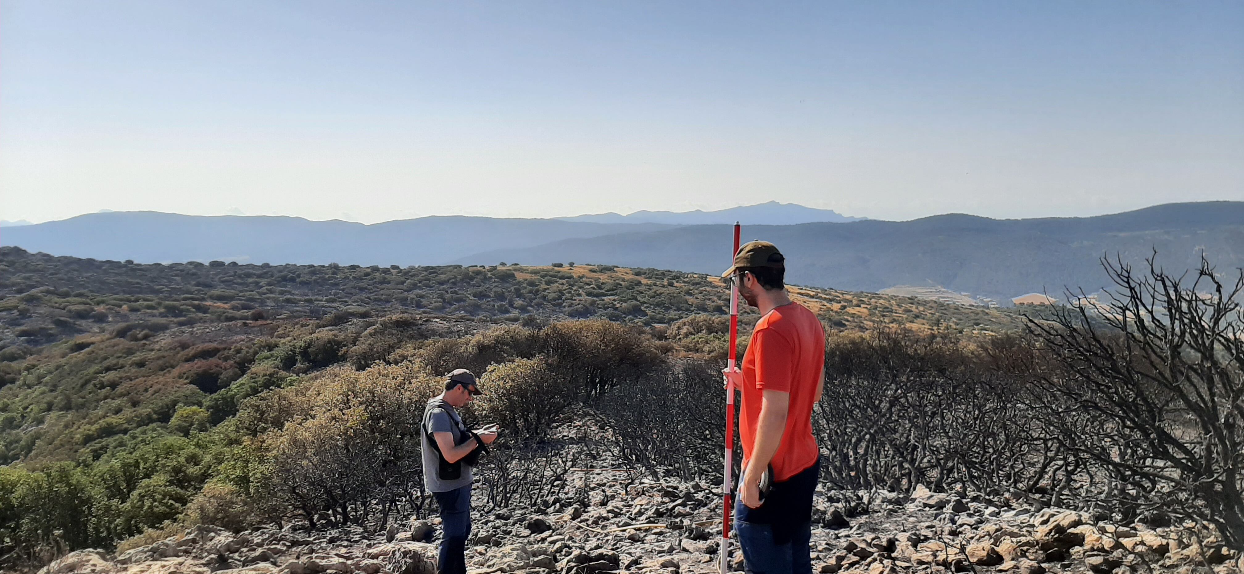 El equipo de investigadores trabajó sobre el terreno inmediatamente después del incendio para poder evaluar la capacidad de regeneración del terreno.