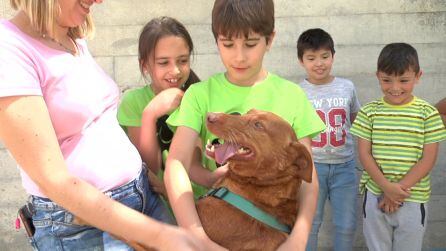 Para terminar que mejor que conocer a uno de los perros que ya han sido adoptados