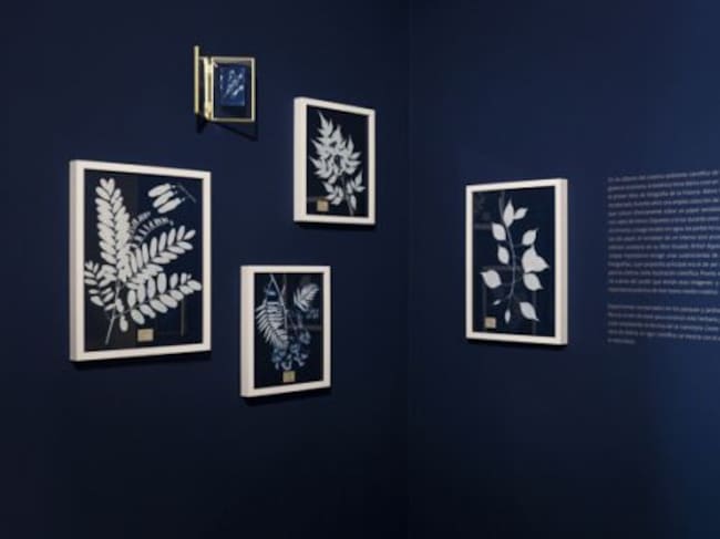 La muestra conecta al espectdor con la tierra que pisa, invitándole a que, cuando visite un jardín, sus ojos vaguen por él en busca de su propio “locus amoenus”.