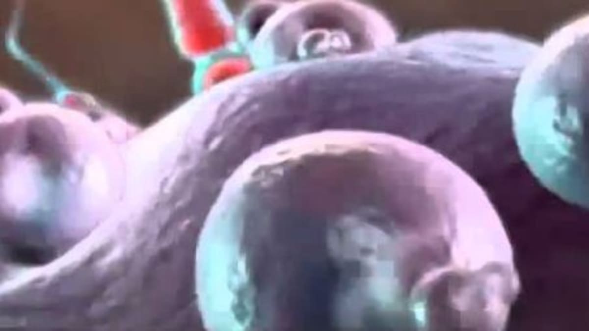 La calidad seminal de los vascos se está recuperando