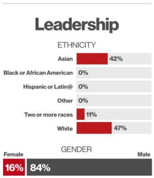 Proporción de diversidad y género en Pinterest: asiáticos (42%), negros o afroamericanos/hispanos o latinos/ otros (0%), mestizos (11%) y blancos (47%)// mujeres (16%) y hombres (84%).