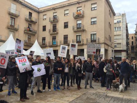 La manifestació ha acabat davant l&#039;Ajuntament de Tortosa.