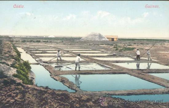 Foto antigua de las salinas a pleno rendimiento. Archivo.