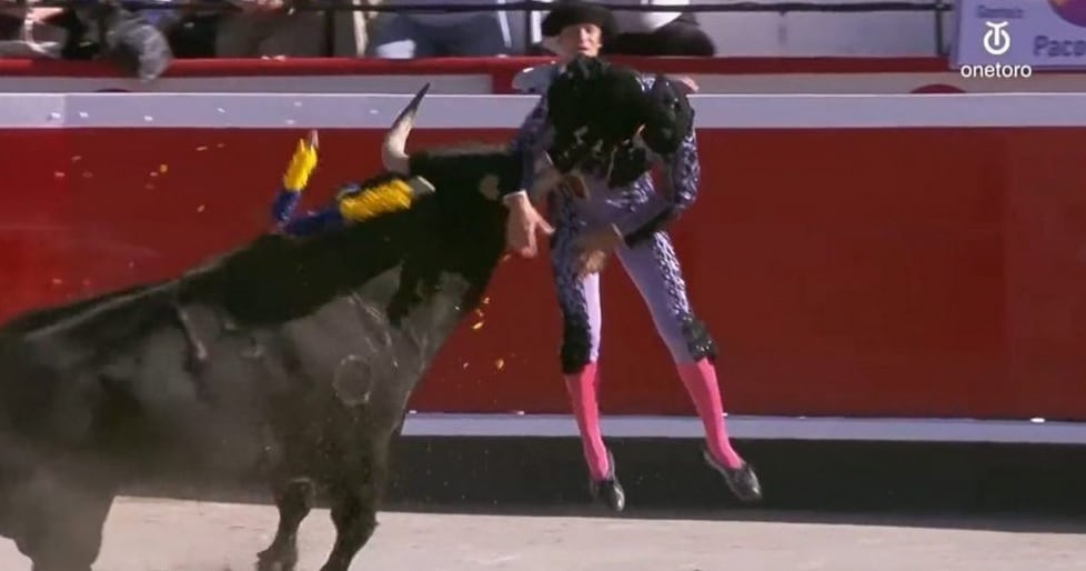 El rondeño sufrió la cogida durante el primer tercio de banderillas de la tarde