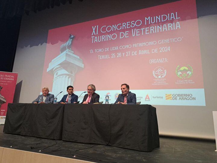 Fernando Carrera durante su intervención en el congreso