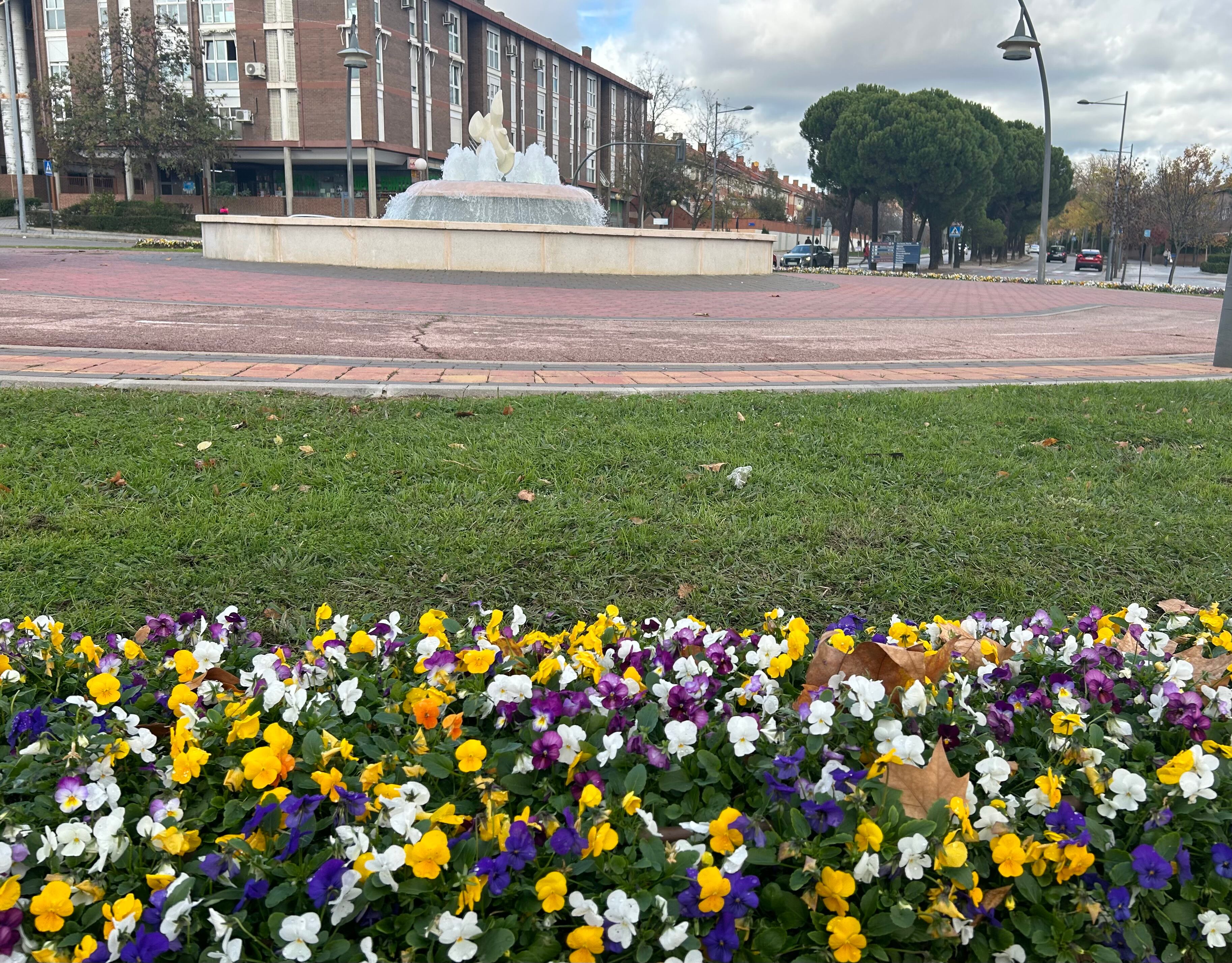 La campaña ha comenzado en la Avda. de los Artesanos, con cerca de un millar de arbustivas y una veintena de árboles plantados, y continuará en el Sector Planetas con 2.000 arbustivas más