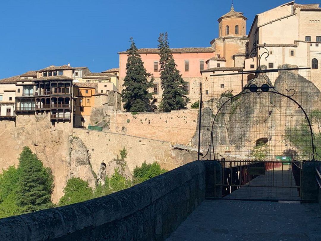 Las dos&quot;Abies Pinsapo&quot;  que estaban ubicadas en el patio trasero de la Catedral