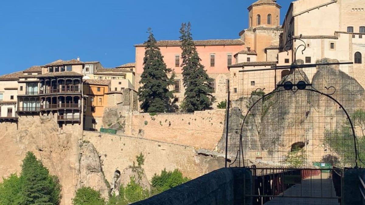 El Obispado aclara que ha retirado los dos "abies Pinsapo" del patio trasero de la catedral por seguridad