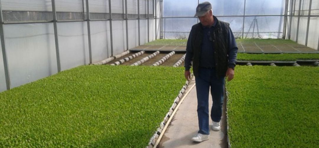 Ángel Gónzalez en uno de los invernaderos del Parque Agrario de Fuenlabrada. 