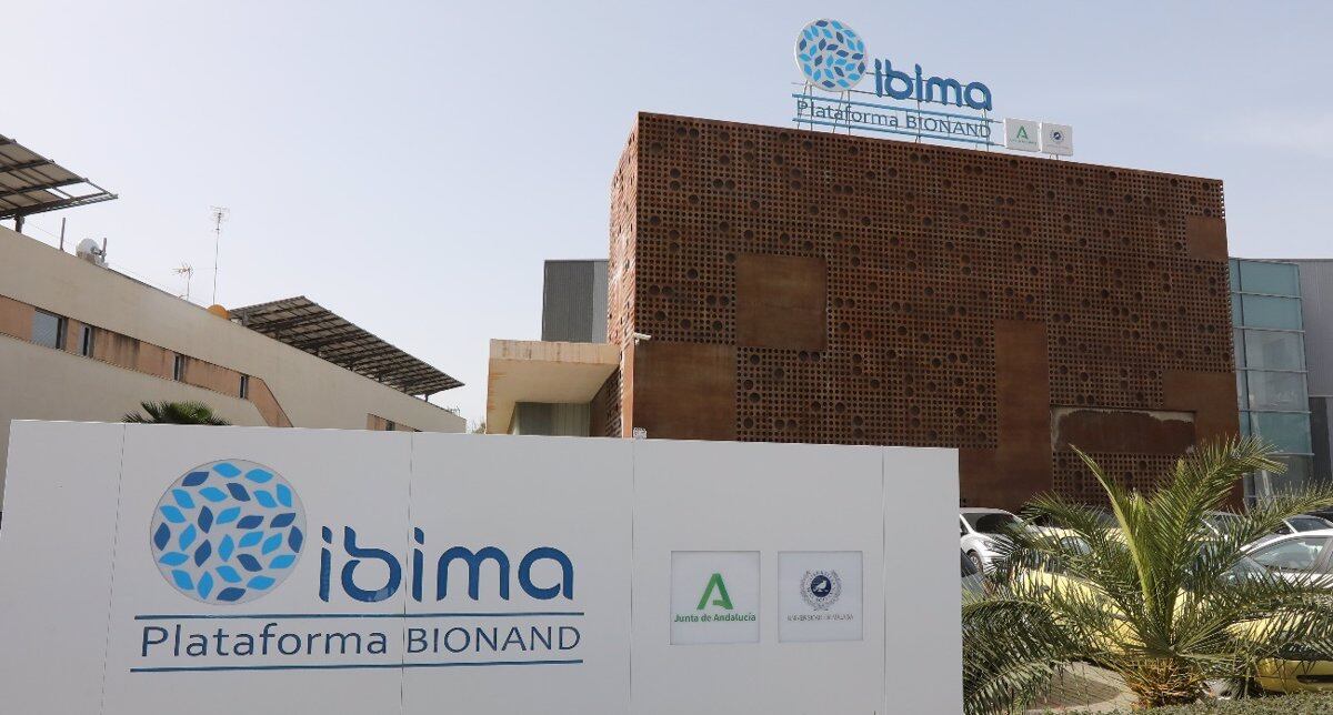 Ibima Plataforma Bionand Obtiene Una Subvención Internacional De 1,5 Millones De Euros Para Avanzar En La Investigación Del Infarto De Miocardio