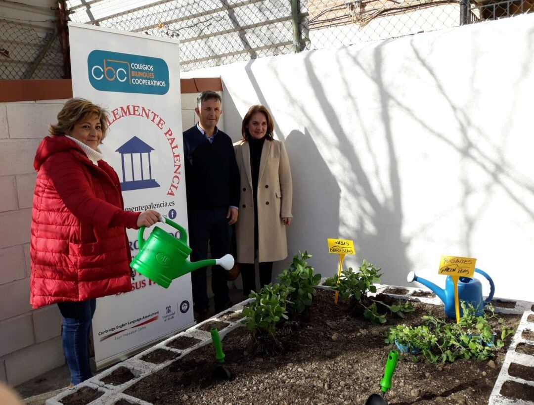 Huerto colegio &quot;Clemente Palencia&quot;