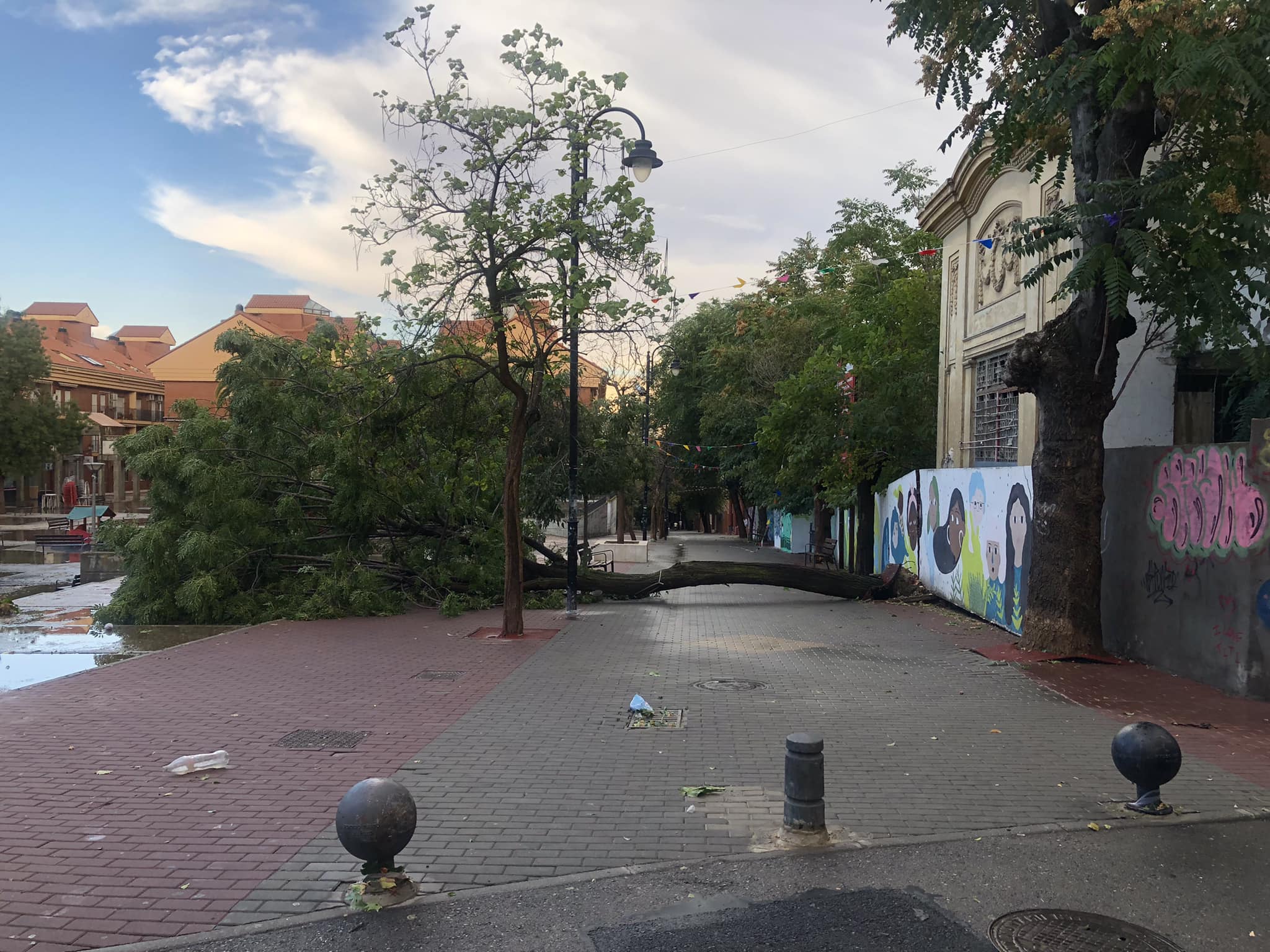 Árbol caído en Ciempozuelos tras la tormenta de agua