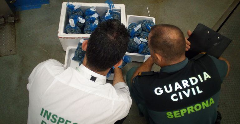 Agentes de la Guardia Civil con el molusco intervenido.