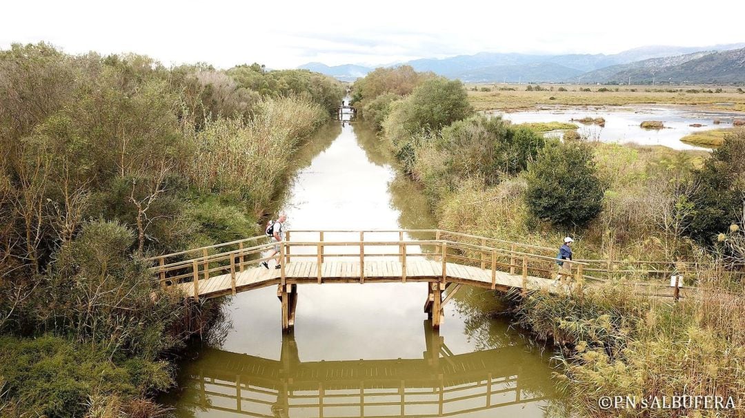 Archivo - S&#039;Albufera (Mallorca).