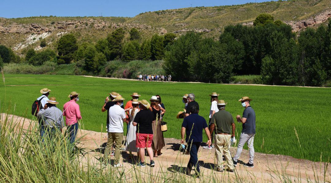 Visita al coto arrocero de los participantes