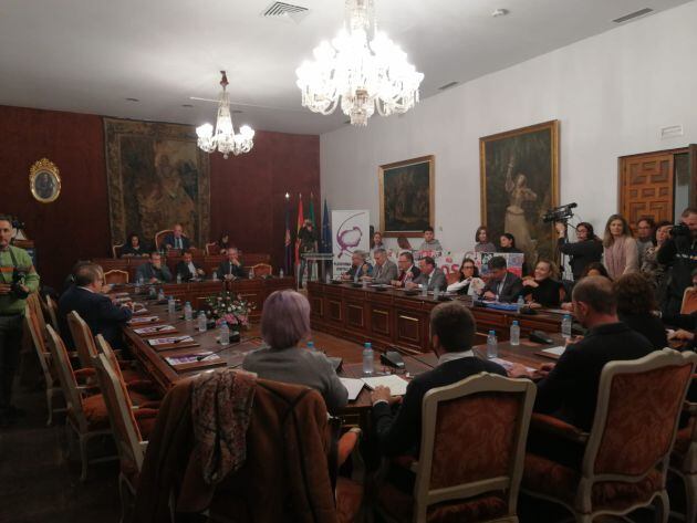 Pleno de la Diputación.