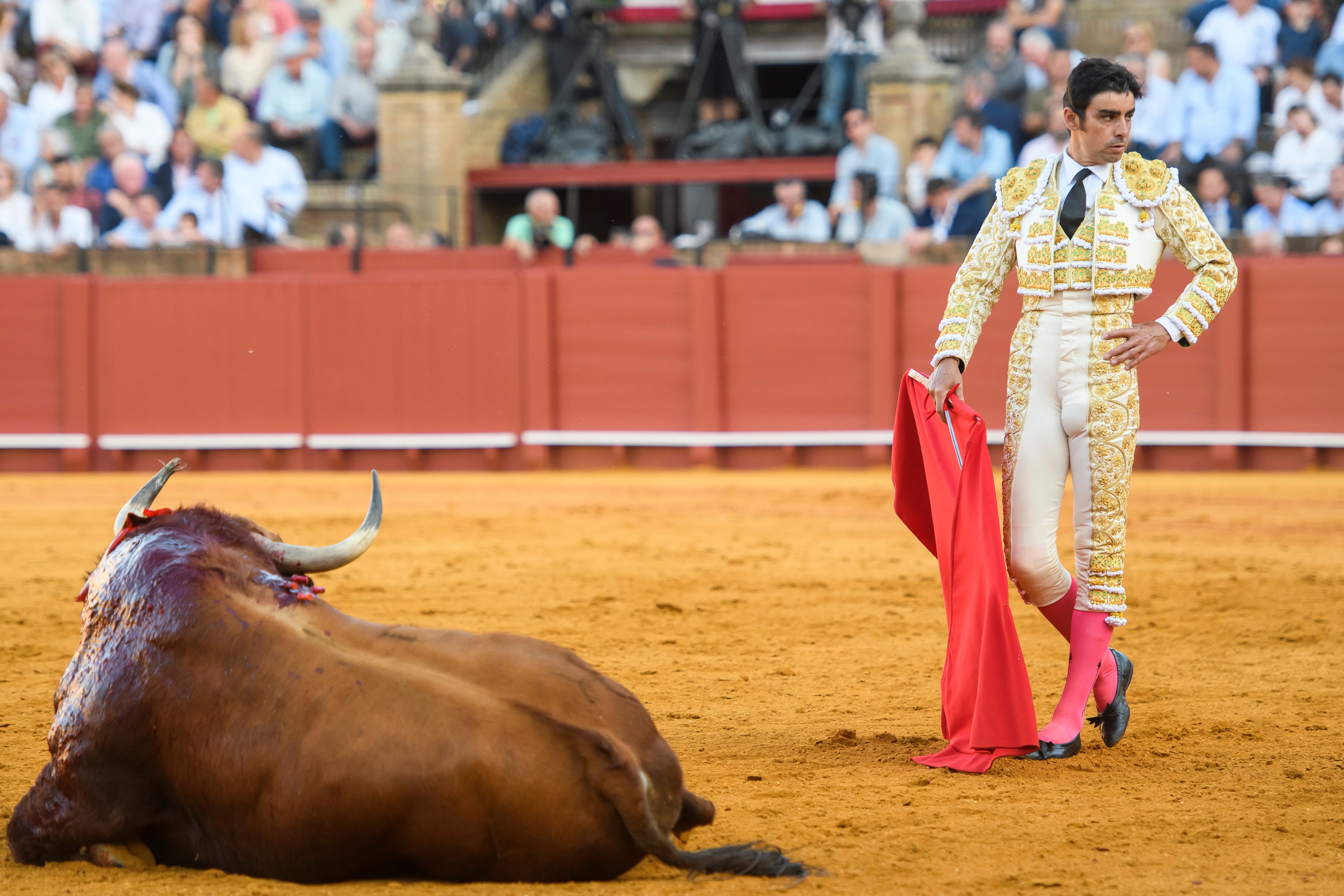 SEVILLA, 20/04/2023.- El diestro pacense Miguel Ángel Perera con su segundo toro, este jueves en la Real Maestranza de Sevilla. EFE/ Raúl Caro
