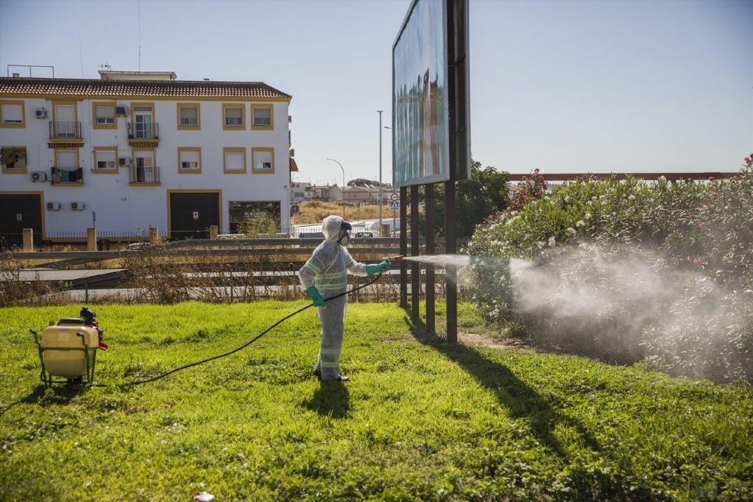 Archivo - Un trabajador durante las labores de fumigación contra los mosquitos causantes del virus del Nilo en Coria del Río