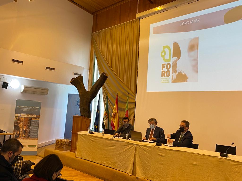 El secretario general de Ciencia, Tecnología, Innovación y Universidad, Jesús Alonso durante la presentación de la incubadora empresarial de Mérida