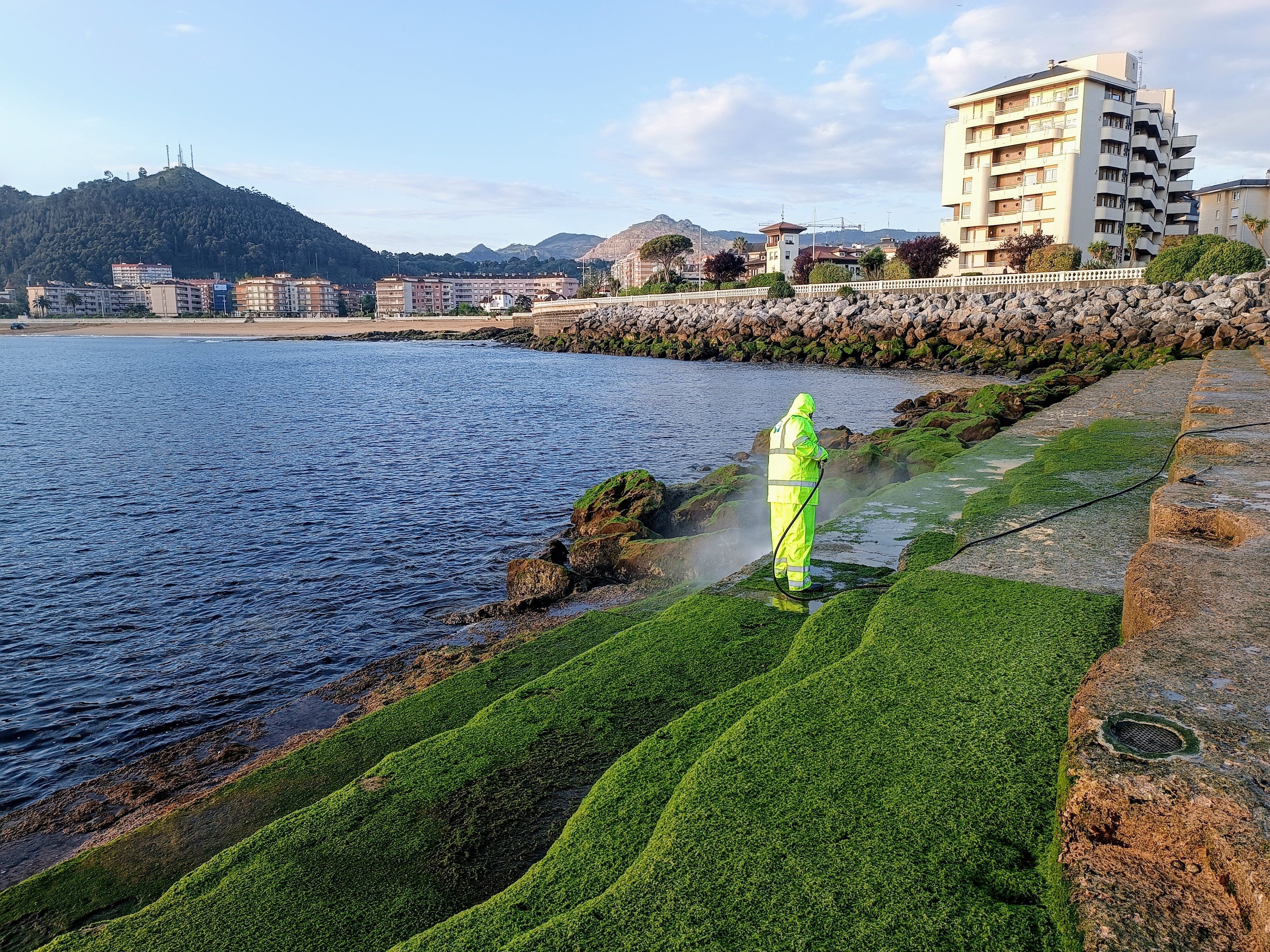 Trabajos de limpieza en el Solarium