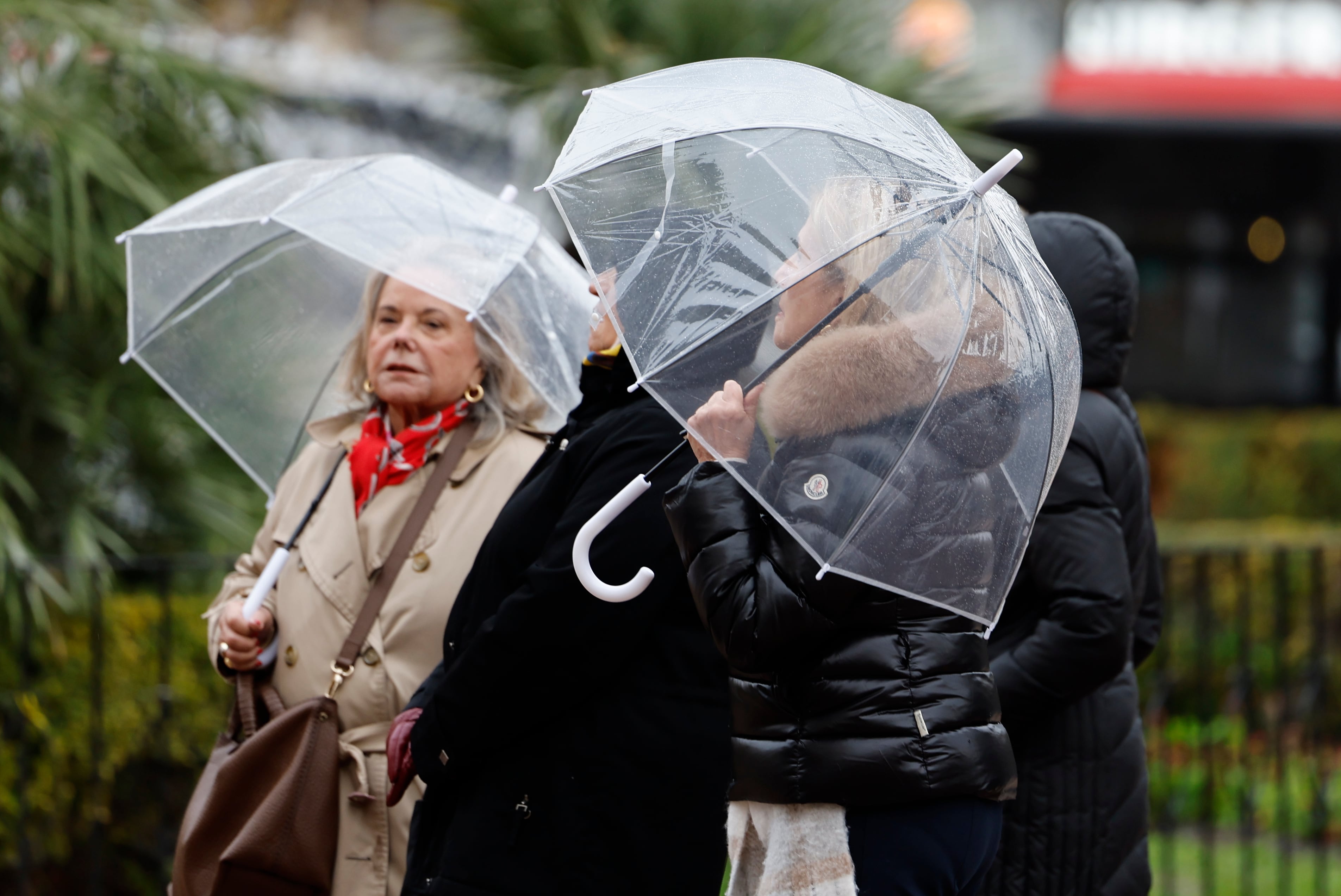 Varias personas se protegen de la lluvia
EFE/ Ana Escobar