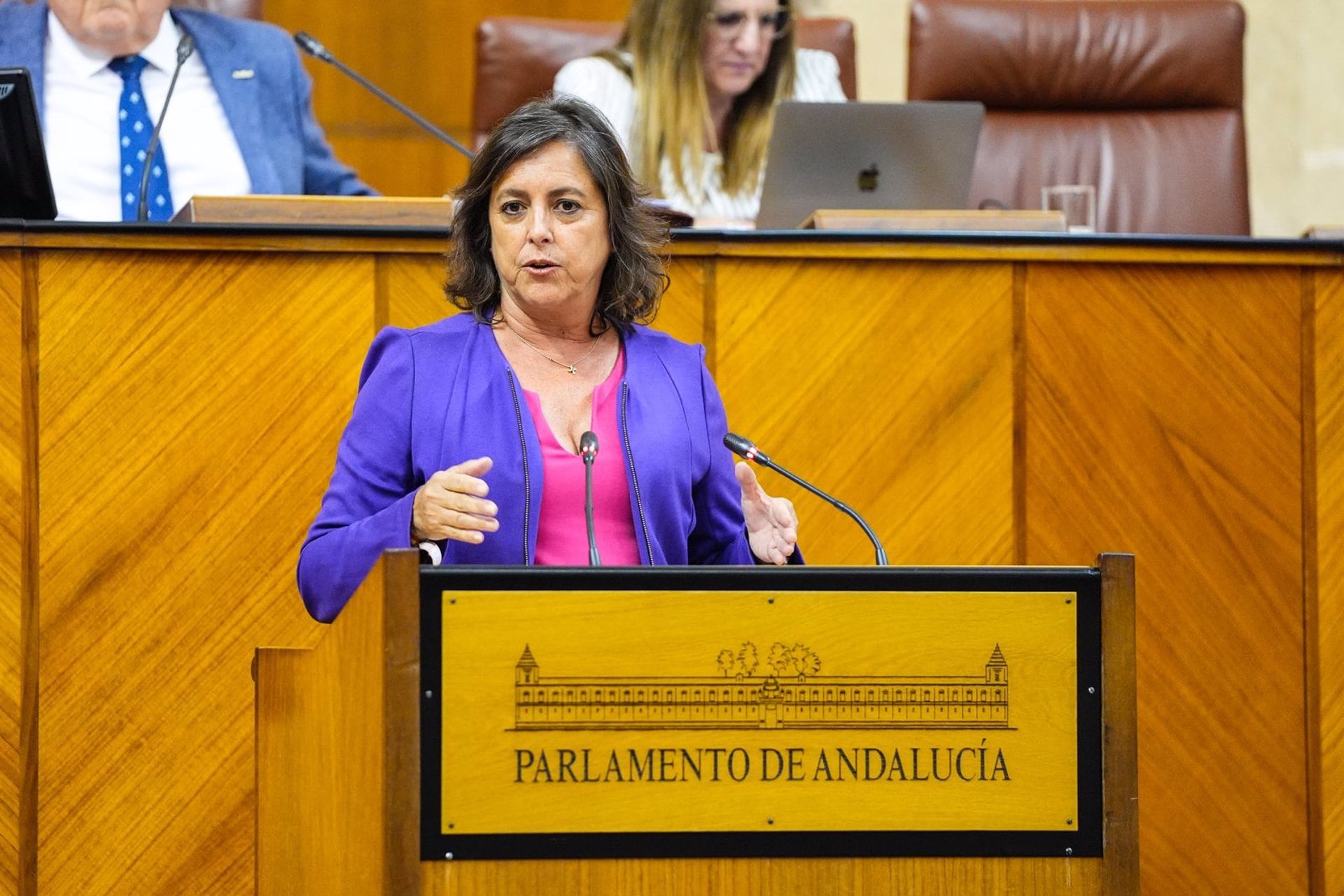 Catalina García Destaca Las Acciones Del Gobierno Andaluz Para Mejorar La Calidad Y Seguridad En El Funcionamiento De Los Centros Sanitarios