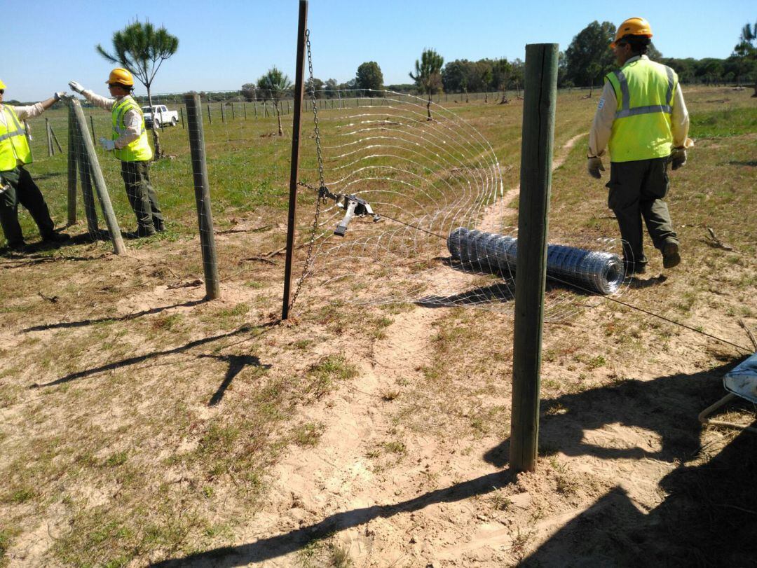 Operarios en Doñana.