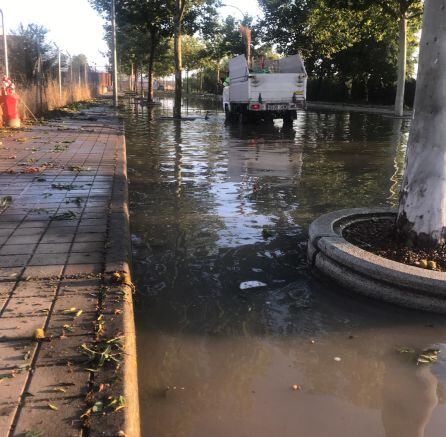 Los efectos de la tormenta de granizo y agua eran visibles por la mañana