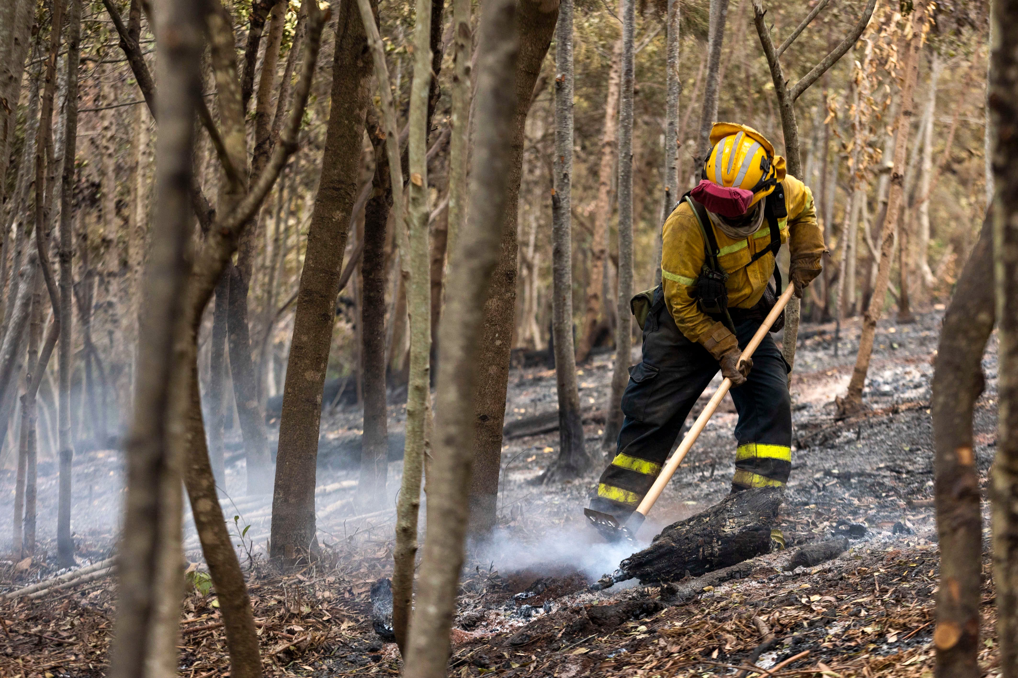 EL ROSARIO (TENERIFE), 25/08/2023.- Miembros del Operativo de Prevención y Extinción de Incendios del Cabildo del Hierro (BRIFOR) colaboran en las labores de enfriamiento de las zonas afectadas por el incendio en Tenerife, este viernes en la zona de La Hornaca en el municipio del Rosario. EFE/ Miguel Barreto
