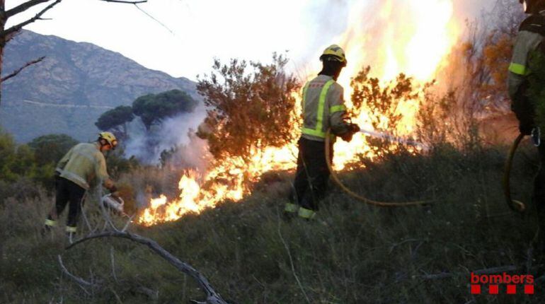 Els bombers apagant les flames del foc de Llançà.