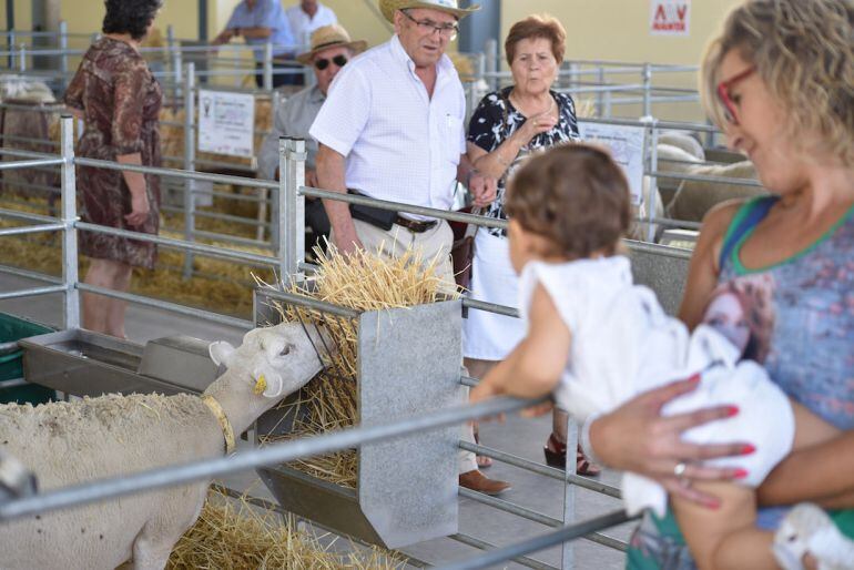 Feria Agroganadera de Huéscar