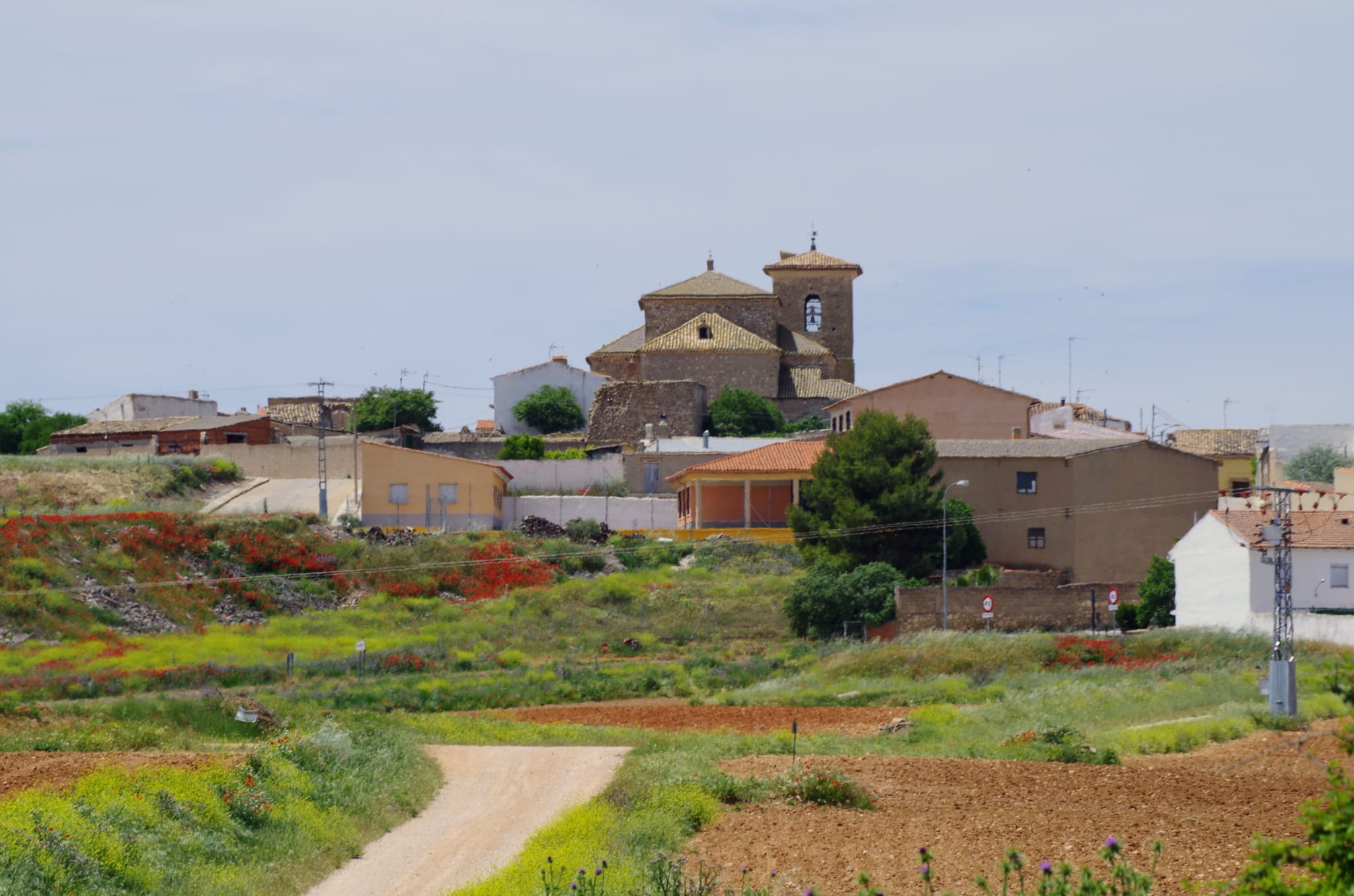 Iglesia tardo-renacentistas de Pinarejo (Cuenca) donde se venera a la patrona del pueblo, Santa Águeda en una talla del siglo XVIII.