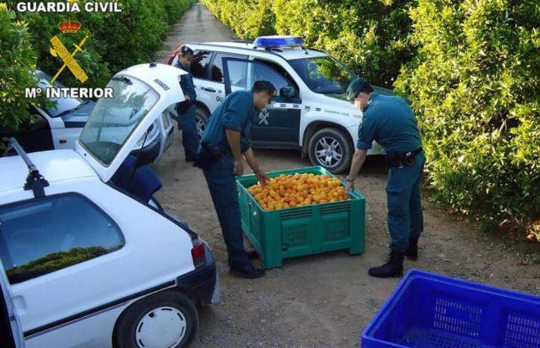 Organizaciones agrarias instan a mantener la guardia alta ante la proliferación de delitos.