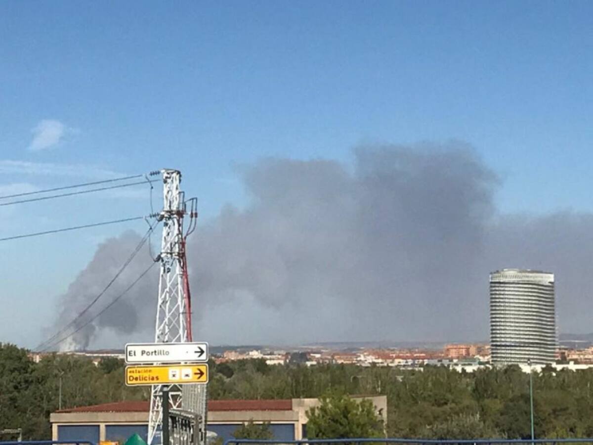 Controlados los incendios en el vedado de Peñaflor