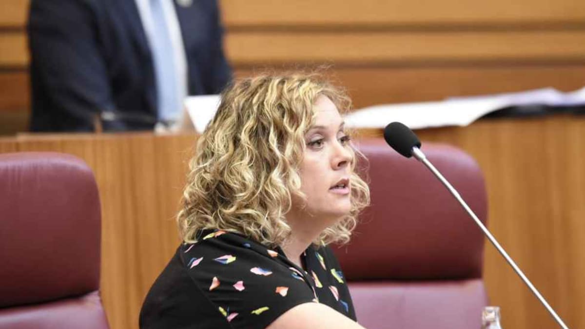 Judith Villar, procuradora socialista por Soria, sobre el desdoblamiento de la CL-101