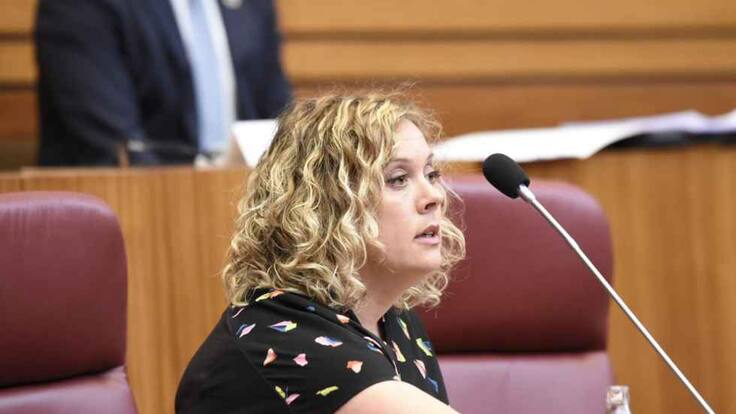 Judith Villar, procuradora socialista por Soria, sobre el desdoblamiento de la CL-101